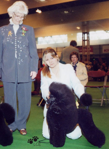 Minarets Reach To The Stars Winning BOB at Crufts 2002