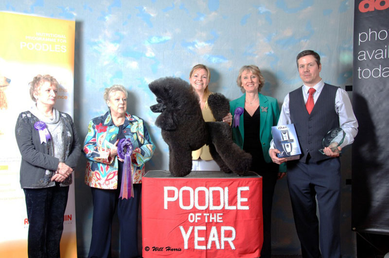 George winning the Poodle Of The Year