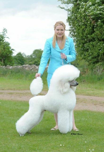 The Big white pet 'Rocky' pictured in his latest photoshoot